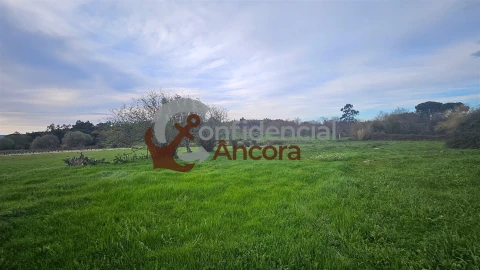 Moradia T2 para Venda em Nespereira
