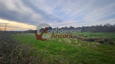 Moradia T2 para Venda em Nespereira