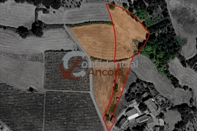 Moradia T2 para Venda em Nespereira
