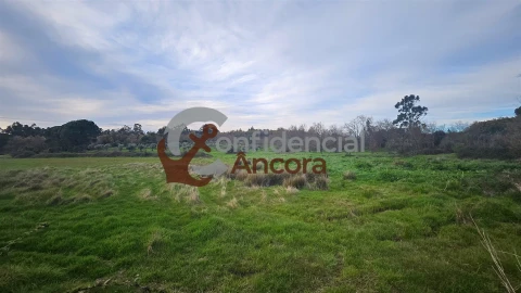 Moradia T2 para Venda em Nespereira