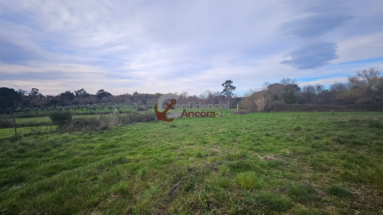 Moradia T2 para Venda em Nespereira Foto 12