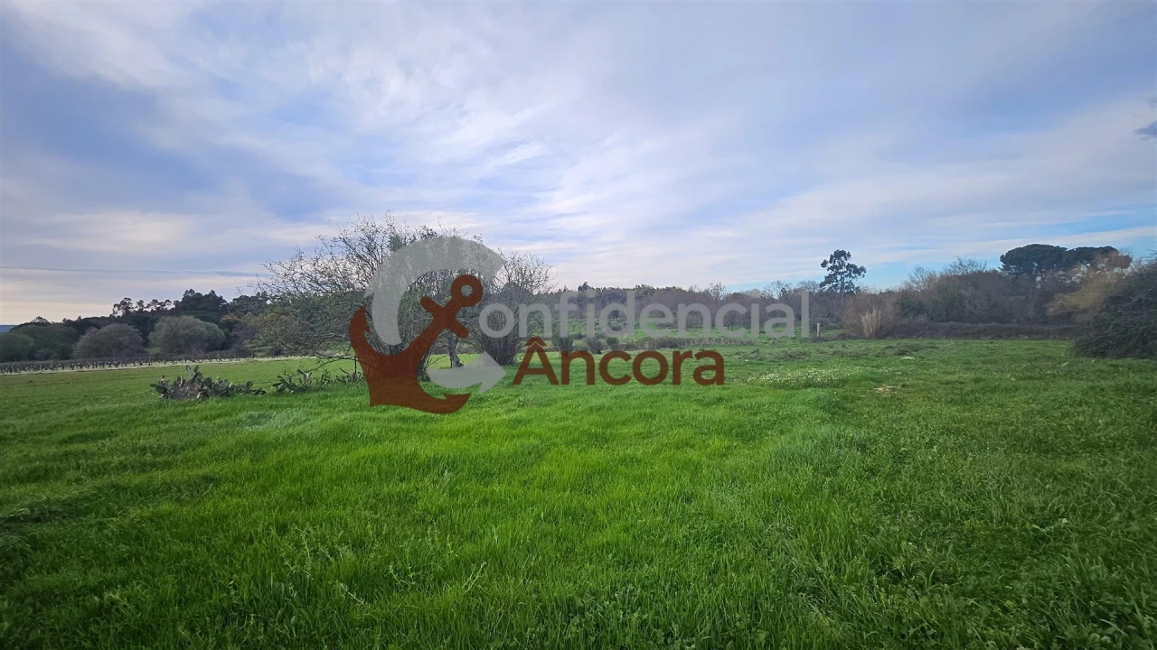 Moradia T2 para Venda em Nespereira Foto 4