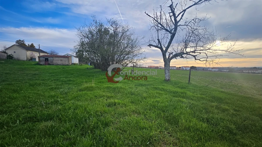 Moradia T2 para Venda em Nespereira Foto 16