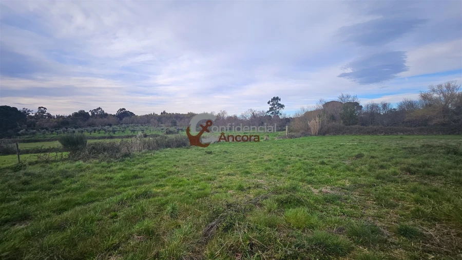 Moradia T2 para Venda em Nespereira Foto 12