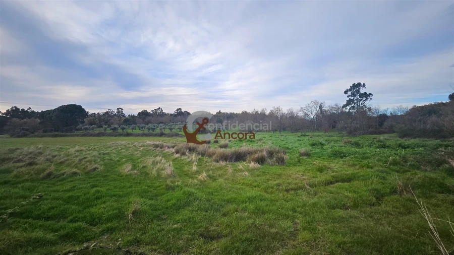 Moradia T2 para Venda em Nespereira Foto 13