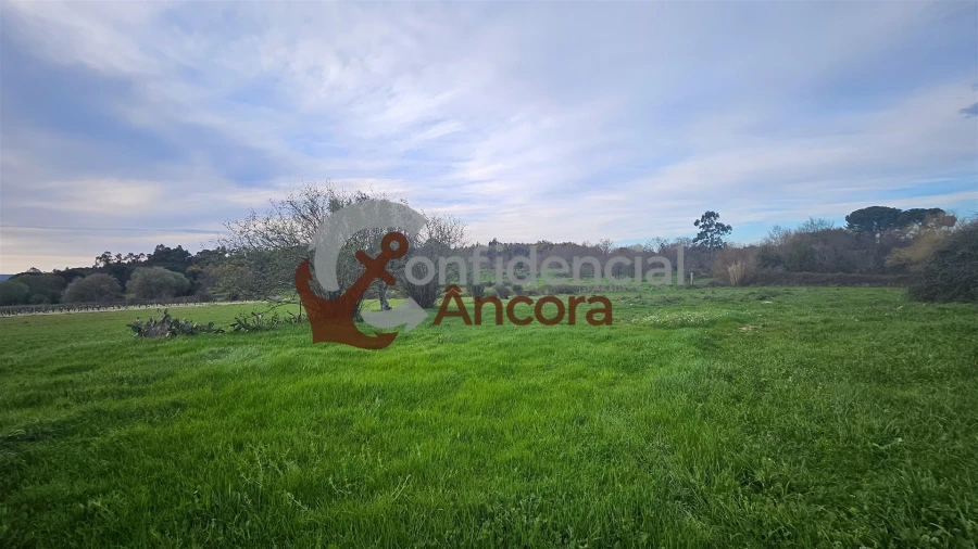 Moradia T2 para Venda em Nespereira Foto 4