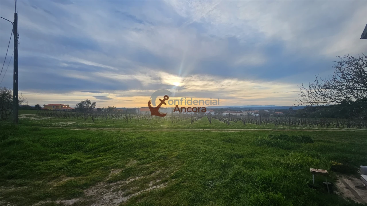 Moradia T2 para Venda em Nespereira Foto 23