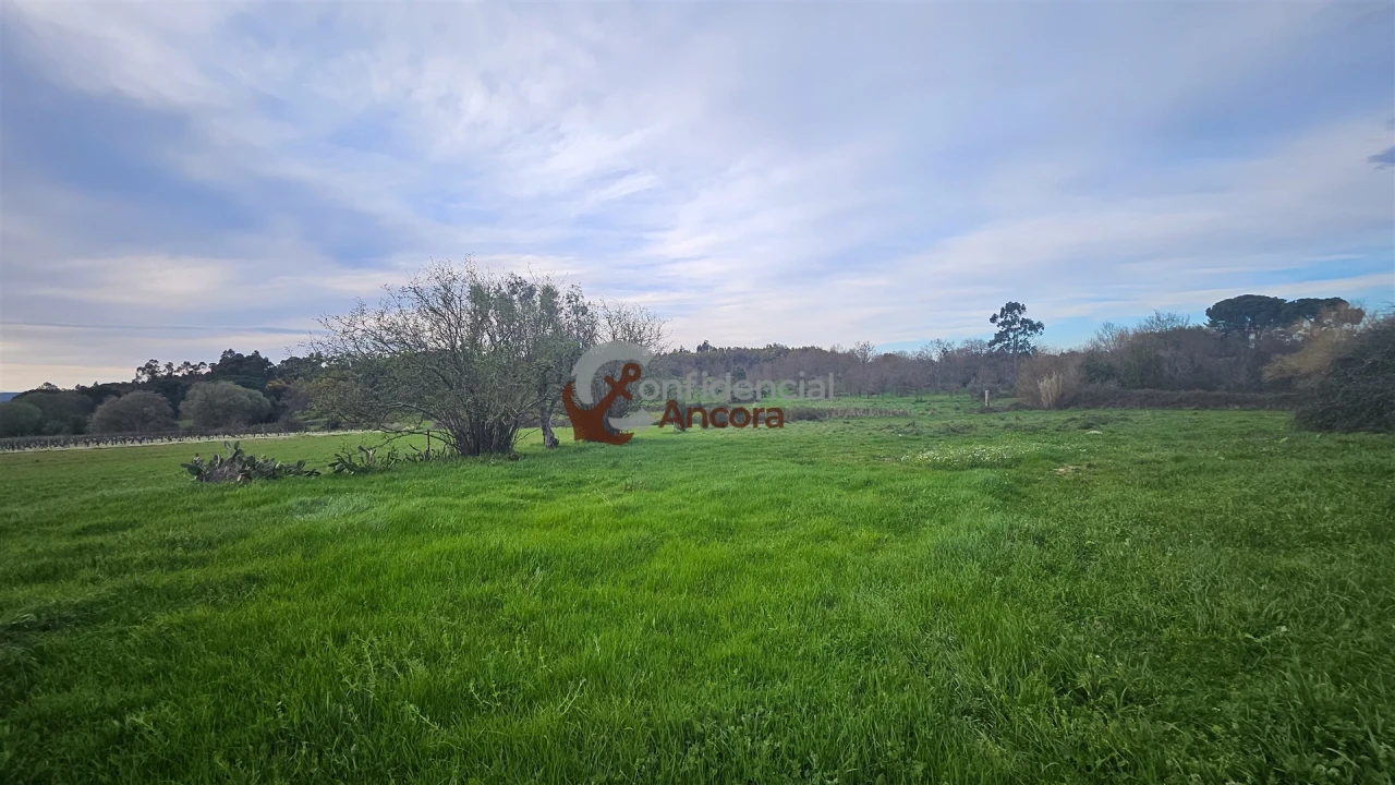 Moradia T2 para Venda em Nespereira Foto 11