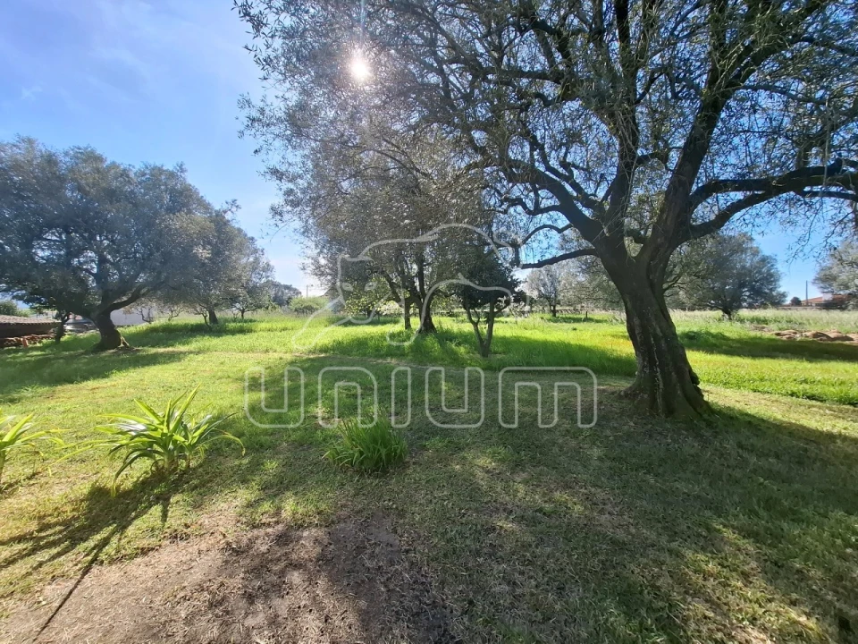 Terreno para Venda em Fontão Foto 2