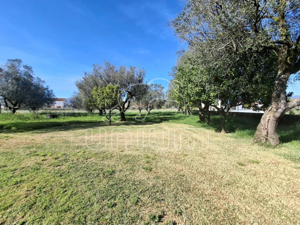 Terreno para Venda em Fontão Foto 3