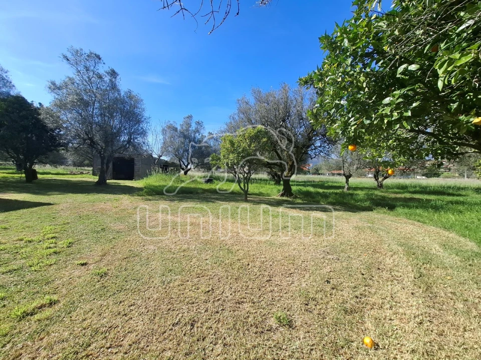Terreno para Venda em Fontão Foto 4