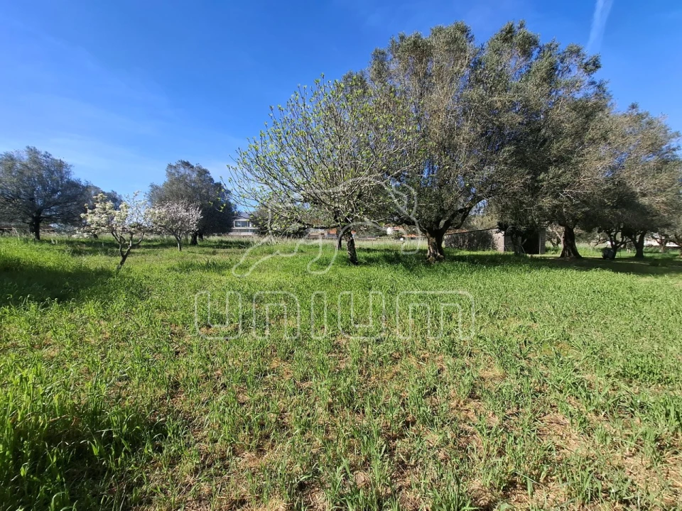 Terreno para Venda em Fontão Foto 5