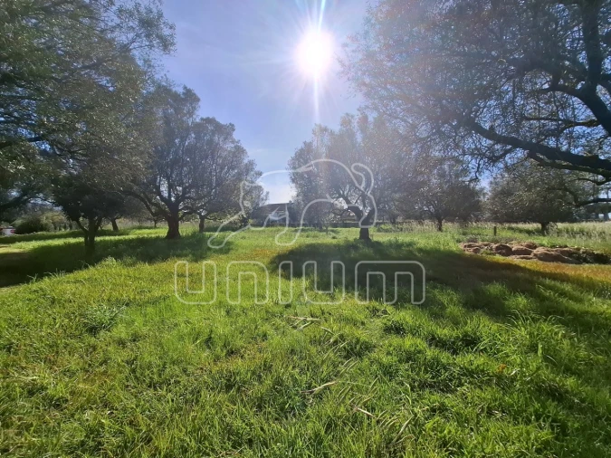 Terreno para Venda em Fontão Foto 1