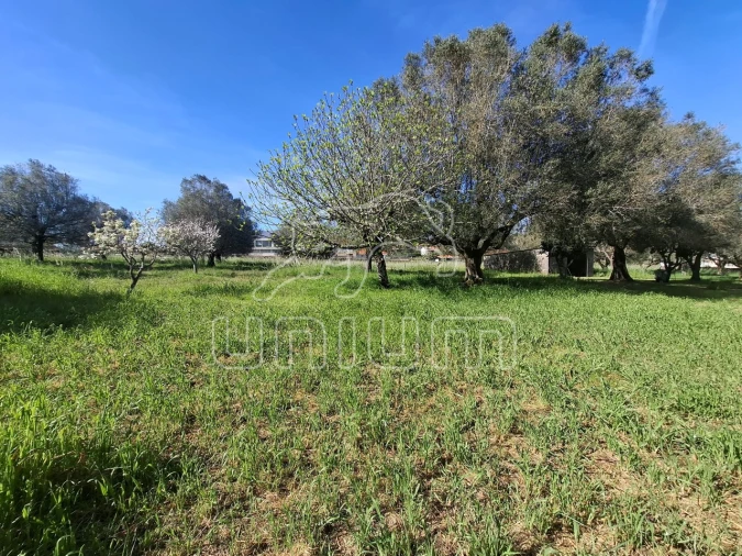 Terreno para Venda em Fontão Foto 5