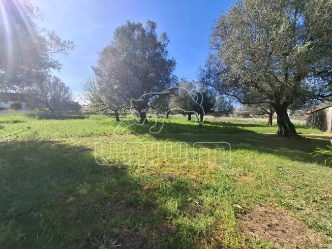 Terreno para Venda em Fontão Foto 7