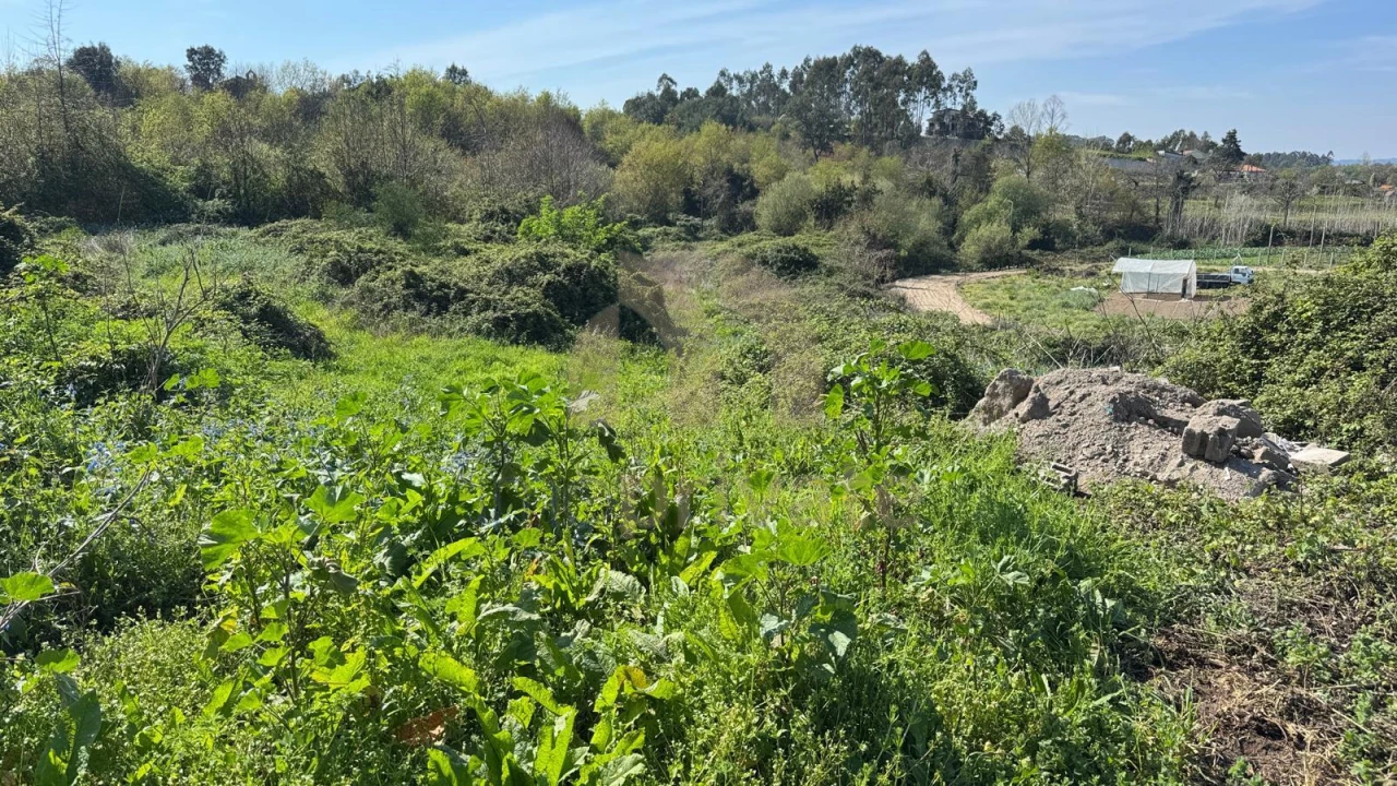Terreno para Venda em Tabuadelo e São Faustino Foto 15