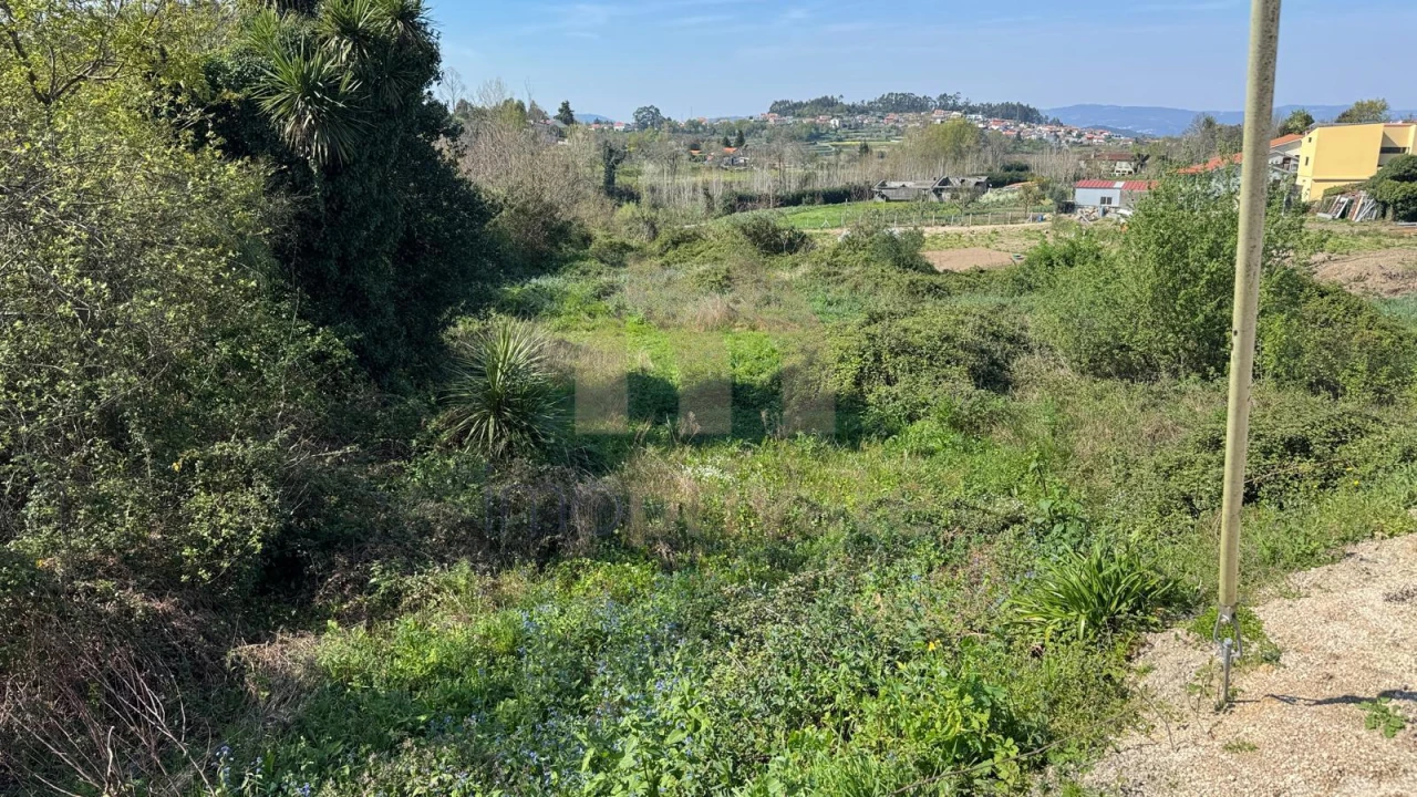 Terreno para Venda em Tabuadelo e São Faustino Foto 10