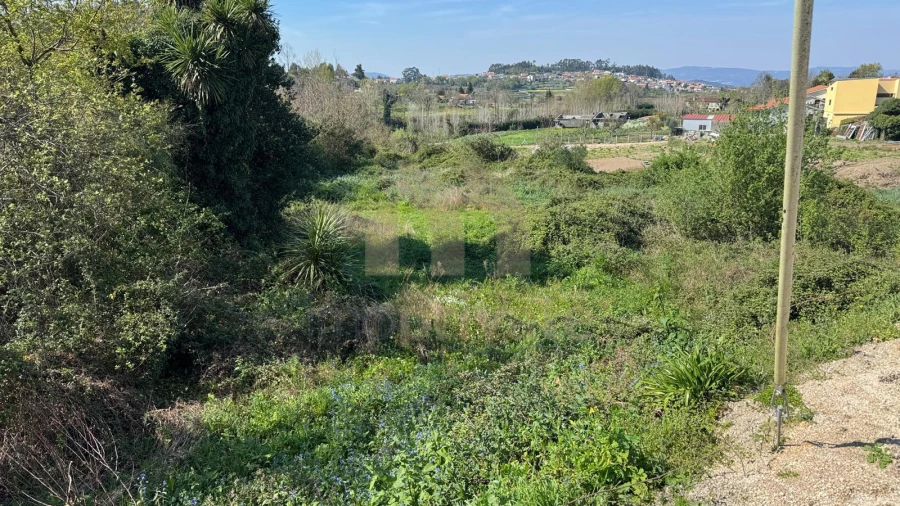 Terreno para Venda em Tabuadelo e São Faustino Foto 10