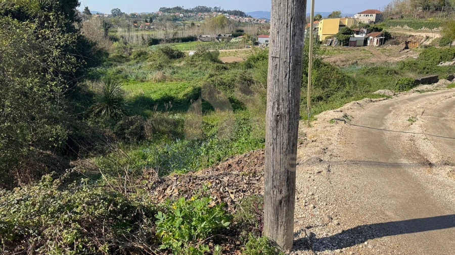 Terreno para Venda em Tabuadelo e São Faustino Foto 6