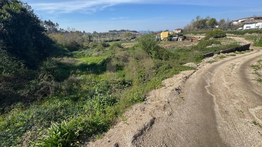 Terreno para Venda em Tabuadelo e São Faustino Foto 5