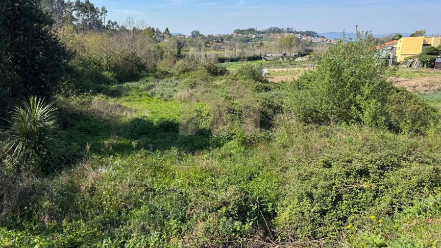 Terreno para Venda em Tabuadelo e São Faustino Foto 12