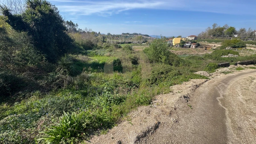 Terreno para Venda em Tabuadelo e São Faustino Foto 1