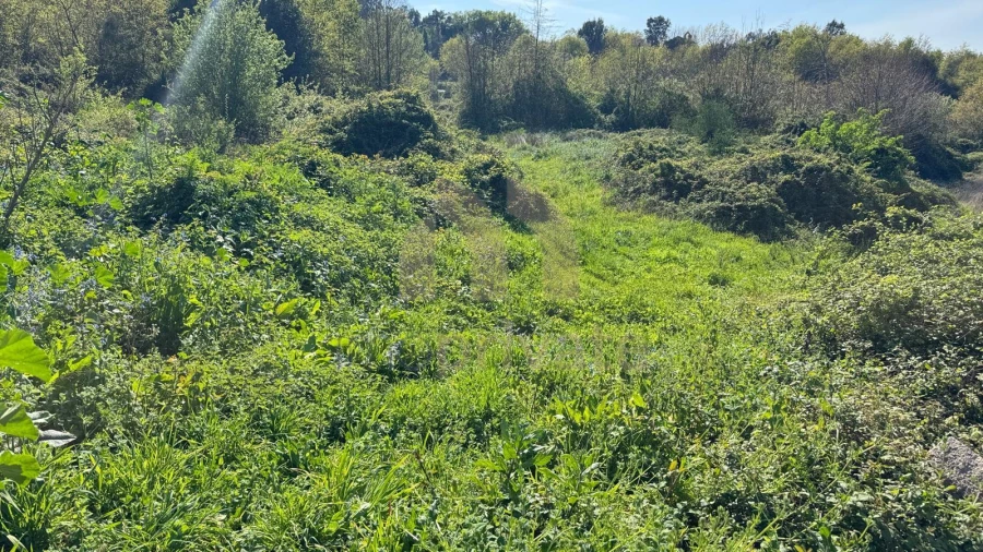 Terreno para Venda em Tabuadelo e São Faustino Foto 4