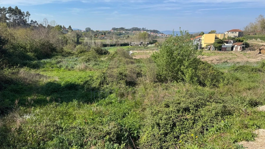 Terreno para Venda em Tabuadelo e São Faustino Foto 11