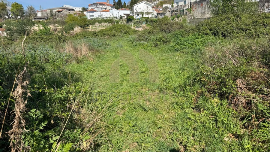 Terreno para Venda em Tabuadelo e São Faustino Foto 3