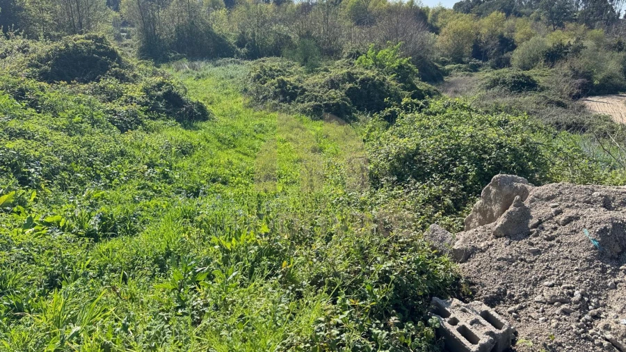 Terreno para Venda em Tabuadelo e São Faustino Foto 7