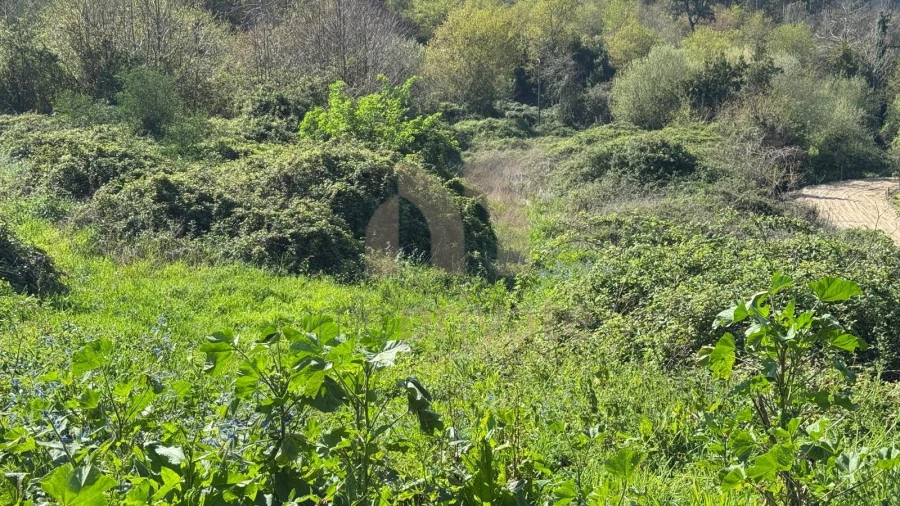 Terreno para Venda em Tabuadelo e São Faustino Foto 16