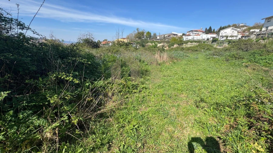 Terreno para Venda em Tabuadelo e São Faustino Foto 2