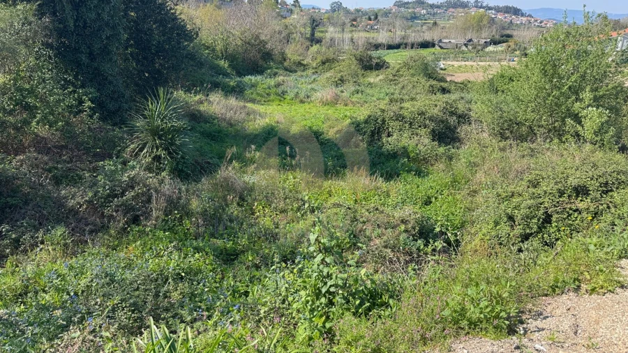 Terreno para Venda em Tabuadelo e São Faustino Foto 9