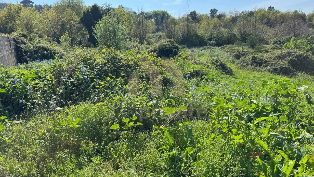 Terreno para Venda em Tabuadelo e São Faustino Foto 14