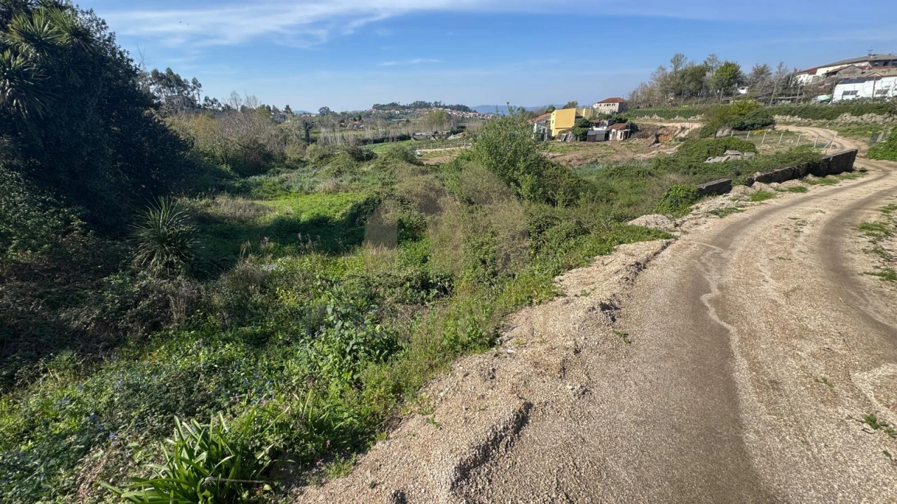 Terreno para Venda em Tabuadelo e São Faustino Foto 5