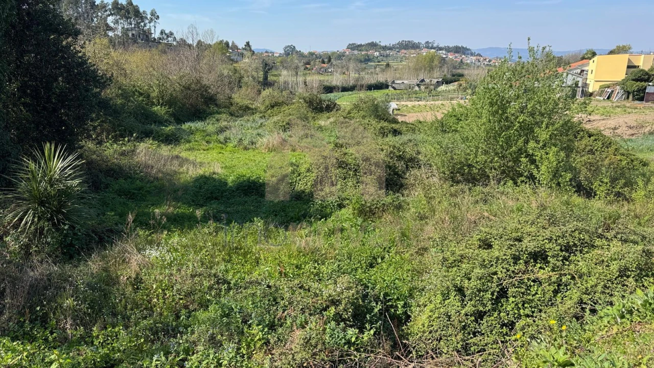 Terreno para Venda em Tabuadelo e São Faustino Foto 12