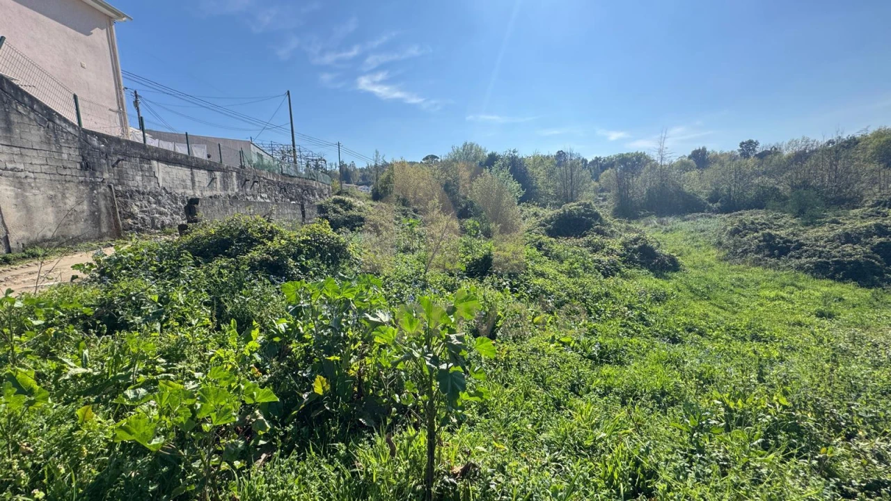 Terreno para Venda em Tabuadelo e São Faustino Foto 8
