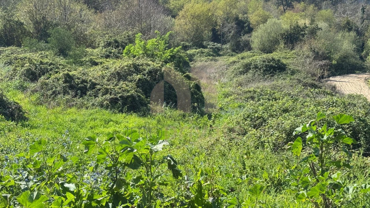 Terreno para Venda em Tabuadelo e São Faustino Foto 16