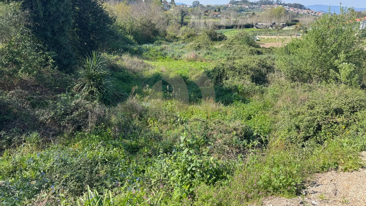 Terreno para Venda em Tabuadelo e São Faustino Foto 9