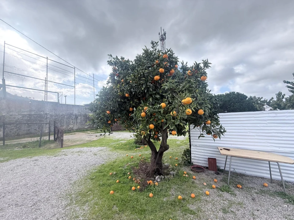 Moradia T4 para Venda em Quinta do Anjo Foto 9