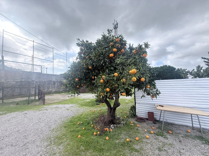 Moradia T4 para Venda em Quinta do Anjo Foto 9