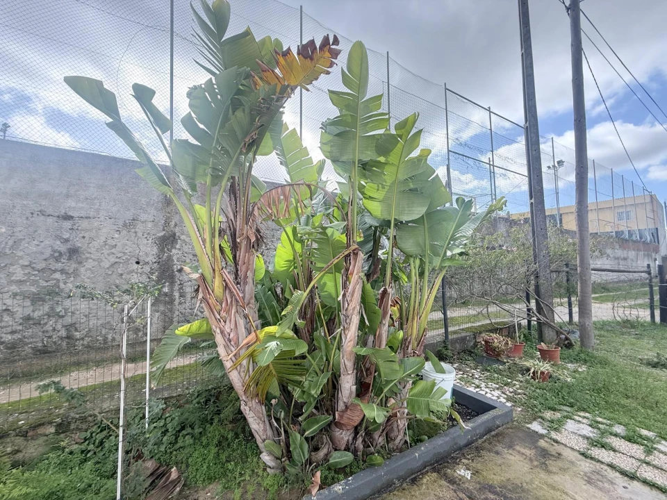 Moradia T4 para Venda em Quinta do Anjo Foto 8