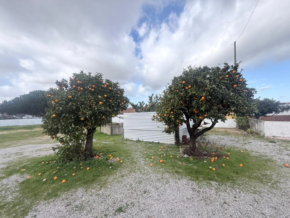 Moradia T4 para Venda em Quinta do Anjo Foto 10