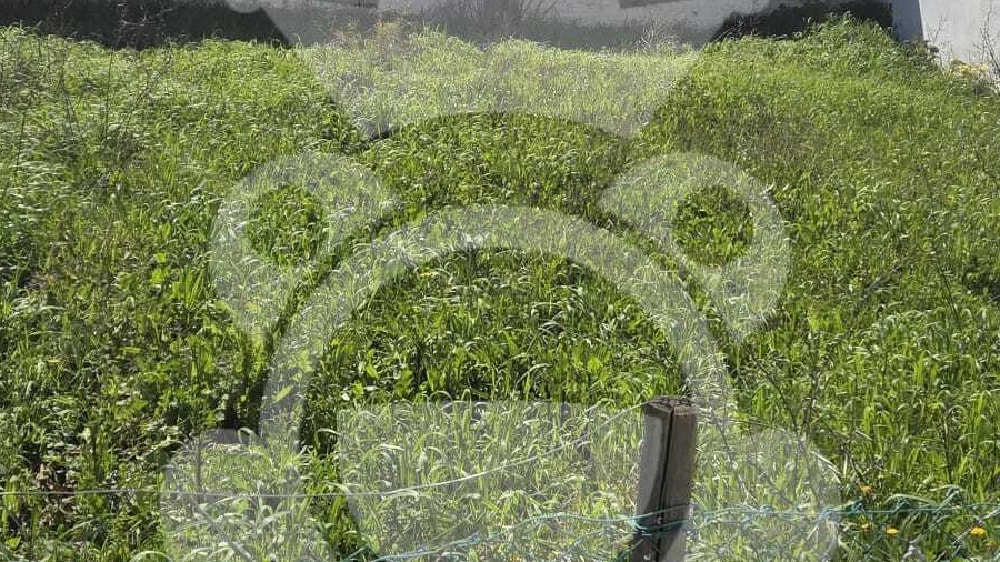 Terreno para Venda em Nossa Senhora da Vila, Nossa Senhora do Bispo e Silveiras