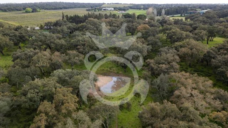 Quinta T8 para Venda em Nossa Senhora da Vila, Nossa Senhora do Bispo e Silveiras Foto 10