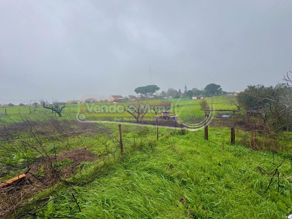 Quinta T3 para Venda em Vila Franca de Xira Foto 9