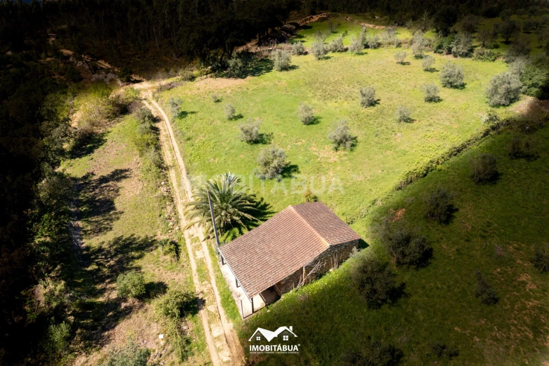 Terreno para Venda em São Martinho da Cortiça Foto 2