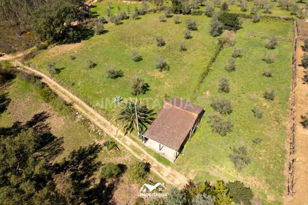 Terreno para Venda em São Martinho da Cortiça Foto 11