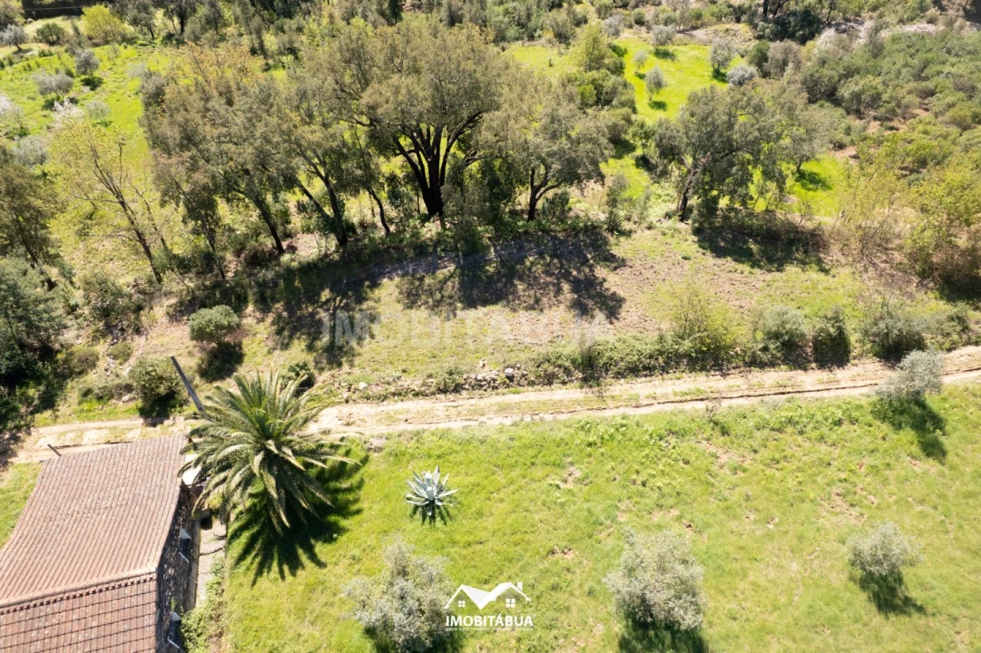 Terreno para Venda em São Martinho da Cortiça Foto 12