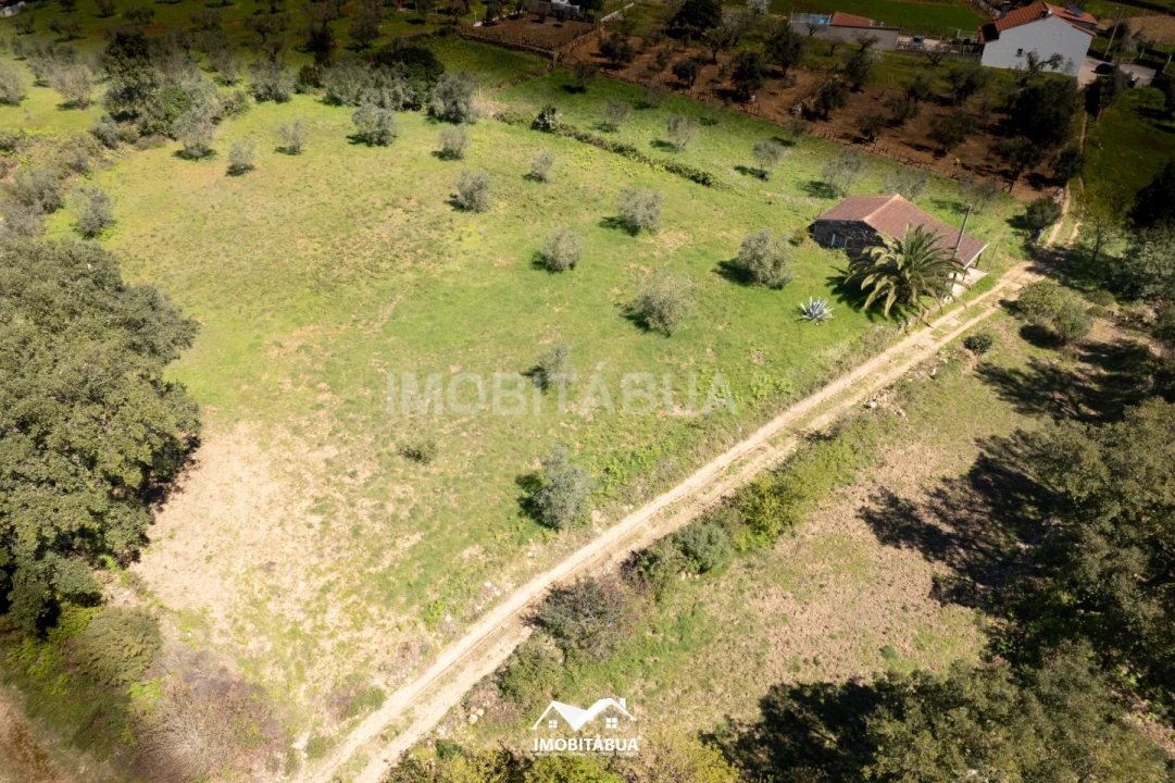 Terreno para Venda em São Martinho da Cortiça Foto 13
